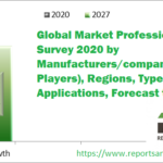 Global Market Professional Survey 2020